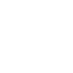 Prompted Magazine